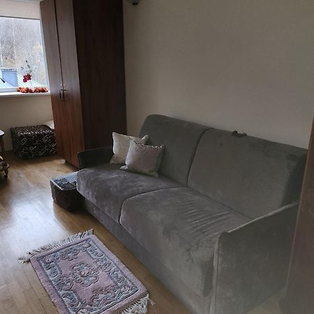 Ramresort Apartment Birštonas المظهر الخارجي الصورة